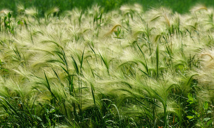 Similar image 22458945