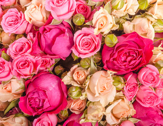 Similar image 22458949