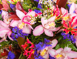 Similar image 22458954