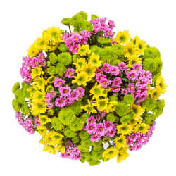 Similar image 22458956