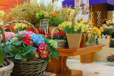 Similar image 22458958