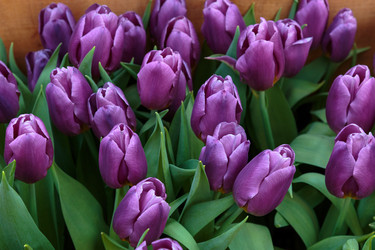 Similar image 22458965