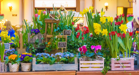 Similar image 22458968