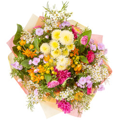 Similar image 22458969