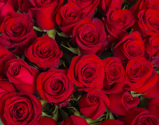 Similar image 22458971