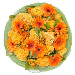 Similar image 22458974