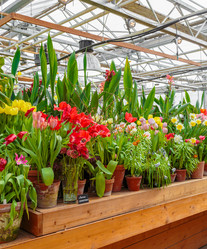 Similar image 22458976