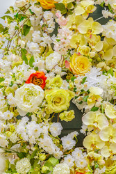 Similar image 22458977