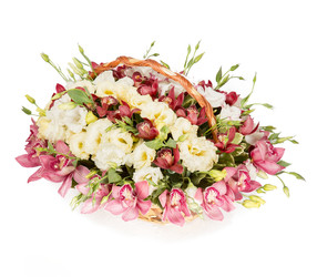 Similar image 22458981