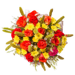 Similar image 22459011