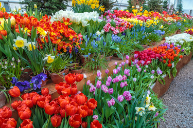 Similar image 22459068