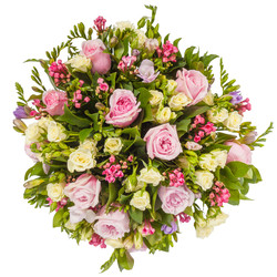 Similar image 22459070