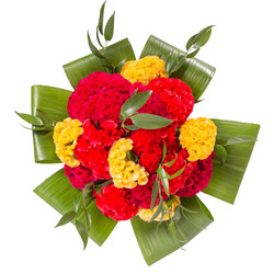 Similar image 22459013