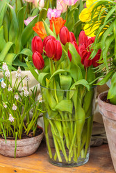 Similar image 22459015