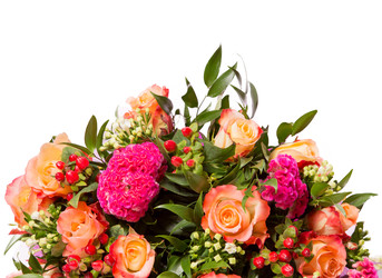 Similar image 22459020