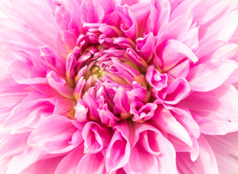 Similar image 22459022