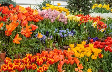 Similar image 22459030