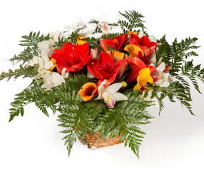 Similar image 22459034