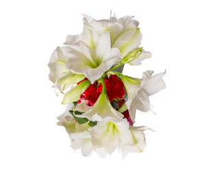 Similar image 22459036