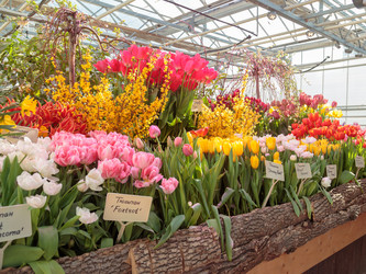 Similar image 22459040