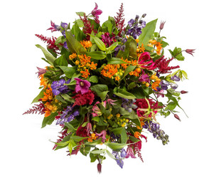 Similar image 22459041