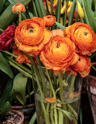 Similar image 22459043