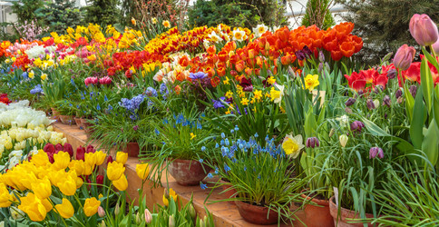 Similar image 22459047