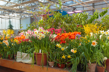 Similar image 22459048