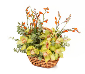 Similar image 22459055