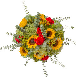 Similar image 22459071