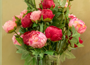 Similar image 22459072