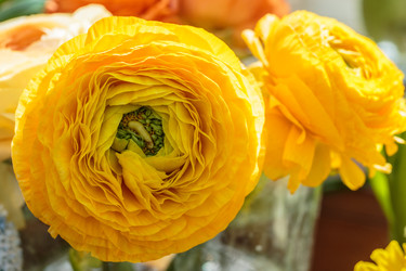 Similar image 22459073