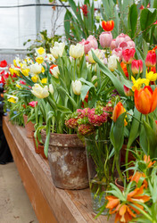 Similar image 22459075