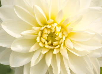 Similar image 22459076