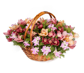 Similar image 22459080