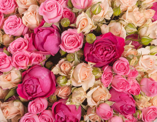 Similar image 22459081