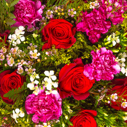 Similar image 22459085