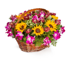 Similar image 22459087