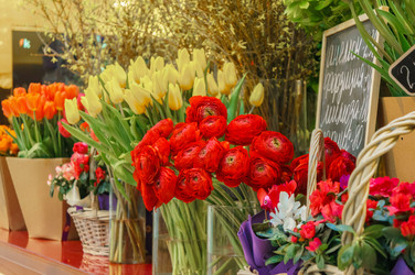 Similar image 22459089