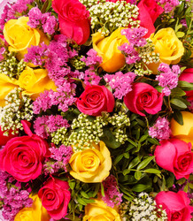 Similar image 22459091