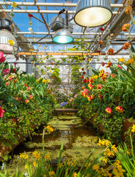 Similar image 22459093