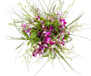 Similar image 22459095