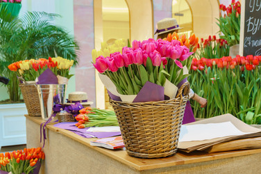 Similar image 22459104