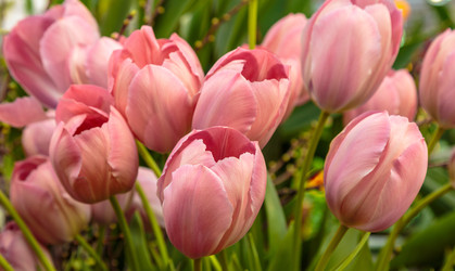 Similar image 22459107