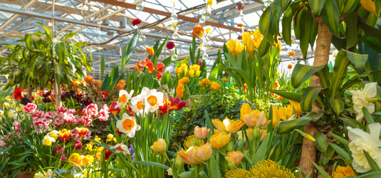 Similar image 22459110