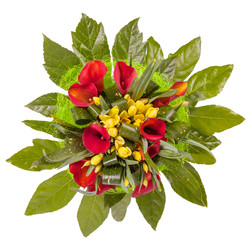 Similar image 22459118