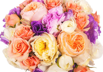 Similar image 22459119