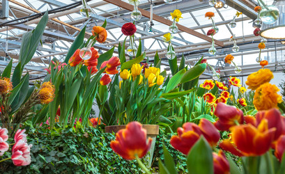 Similar image 22459121