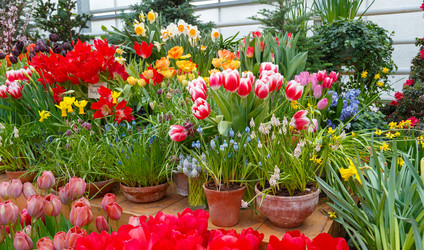 Similar image 22459126