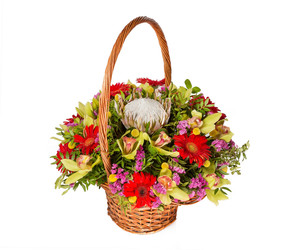 Similar image 22459130